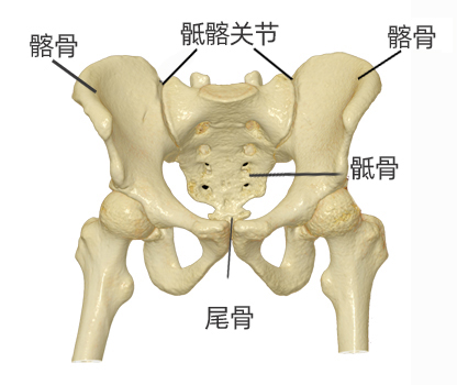 杭州骨科医院,杭州城东医院骨科
