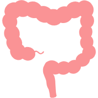 肠道 (1).png
