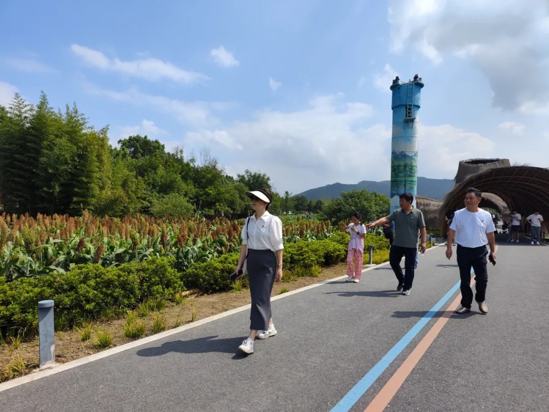杭州城东医院,党建,学习