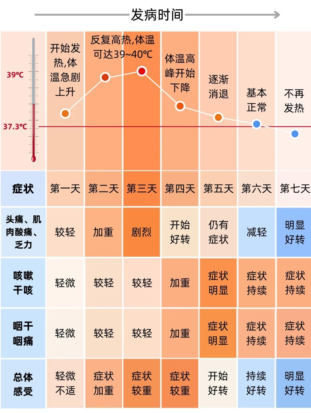 2.webp (1).jpg
